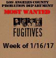 Fugitives. Week of 1-16-17
