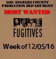Fugitives. Week of 12-5-16