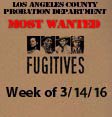 Fugitives. Week of 3-14-16