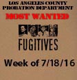 Fugitives. Week of 7-18-16