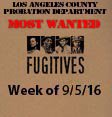 Fugitives. Week of 9-5-16