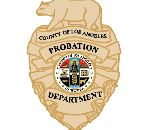 LA County Probation Logo